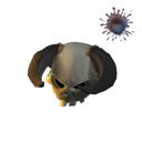 The Spine-Twisting Skull