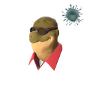 Dell in the Shell
