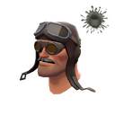The Barnstormer