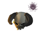 The Spine-Twisting Skull