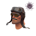 The Barnstormer