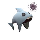 Strange Unusual Cranial Carcharodon (Spellbound)