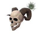 Wandering Wraith
