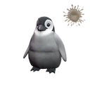 Pebbles the Penguin