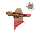 Strange Unusual Wide-Brimmed Bandito
