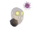Strange Filamental