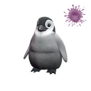 Pebbles the Penguin