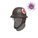 The Physician's Protector