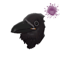 Avian Amante