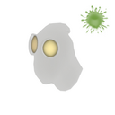 Apparition's Aspect