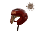 Pugilist's Protector