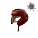 Pugilist's Protector