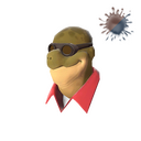 Dell in the Shell
