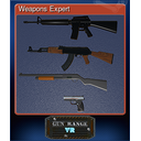 Weapons Expert