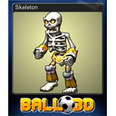 Skeleton
