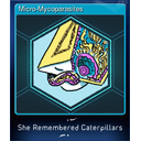 Micro-Mycoparasites