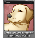 Steve (Foil)
