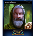 Into the Forest
