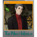 Flagg (Foil)