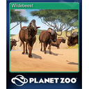 Wildebeest