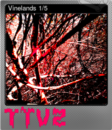 Vinelands 1/5