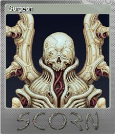 Surgeon