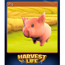 Pig