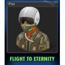 Pilot