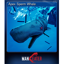 Apex Sperm Whale