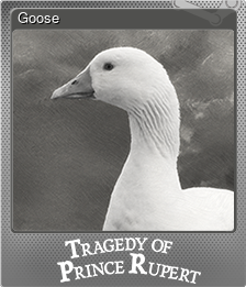 Goose