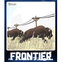 Bison