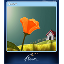 Bloom
