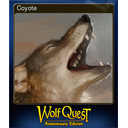 Coyote