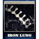 Mysterious Bones