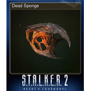 Dead Sponge