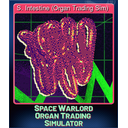 S. Intestine (Organ Trading Sim)