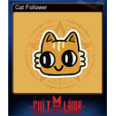 Cat Follower