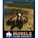 Tarantula