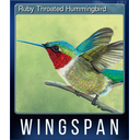 Ruby Throated Hummingbird