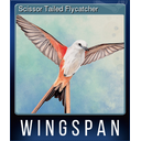 Scissor Tailed Flycatcher