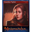 Guardian Fighter