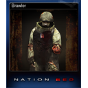 Brawler