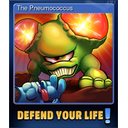 The Pneumococcus