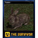 Rabbit