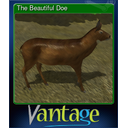 The Beautiful Doe
