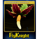 Amorphophallus Immensus (Trading Card)