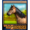 The Royal Dartmoor Pony