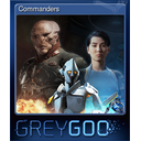 Commanders
