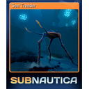 Sea Treader