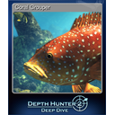 Coral Grouper